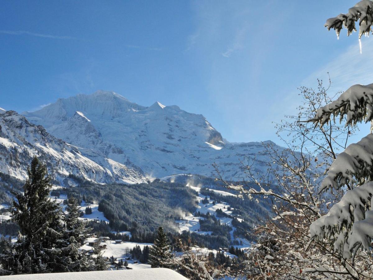 Apartment Bristol Apt-K By Interhome Wengen Buitenkant foto